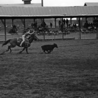 1984 Rodeo Club, Roping 08