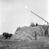 La Grande Farm, Huffman 5