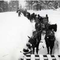 1912 Wallowa County, Elk Imports