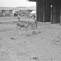 Reuter, Bob - Child 91