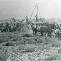 GRV, Threshing Operation 8