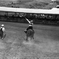 1981 Rodeo, Bull Riding 04