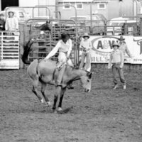 1978 Rodeo, Bronco Riding 16