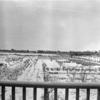 La Grande Farm, Huffman 6