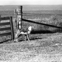 1982 Grande Ronde Valley, Farms 05