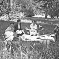Reuter Group-DD, Picnic 1