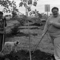 1985 Soroptimist Tree Plantings 04