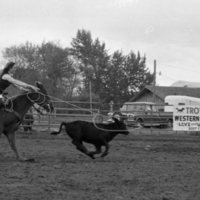 1984 Rodeo Club, Roping 03