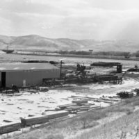 1980 Log Plant 11