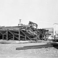 1980 Log Plant 08