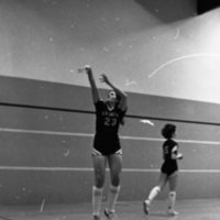 1981 Women's Basketball Action, Practice 13