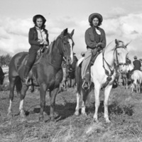 Union Stock Show, 1941 8