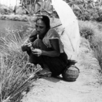 Binmaley Local Fishing 5