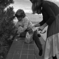 1983 Ackerman Elementary School, Bulb Planting 05