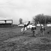 1982 EOSC Rodeo, Bronco Riding 02