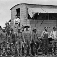 Alicel, Farmhands
