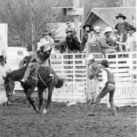 1987 Rodeo, Bronco Riding 01