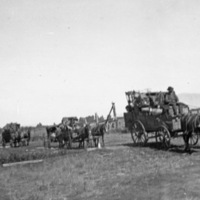 Union County, Pioneers