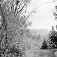 1968 Mt. Emily