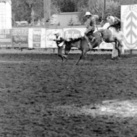 1987 Rodeo, Bronco Riding 05