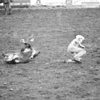 1978 Rodeo, Bulldogging 03