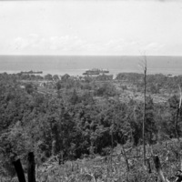 Finchhaffen Taro Plantation 1
