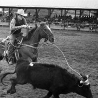 1984 Rodeo Club, Roping 04