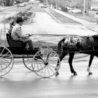 1988 Employee, Jack Johnson Carriage Ride 11