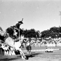 1972 Rodeo, Bronco Riding