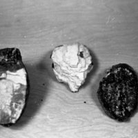 1979 Mammoth Teeth 02