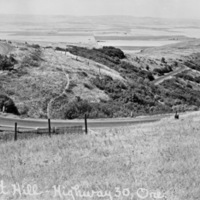 Cabbage Hill 3