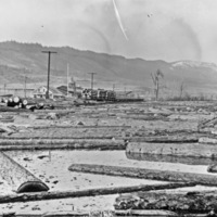 La Grande, Mt. Emily Sawmill 1