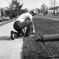 1986 Employees, Groundskeepers 10