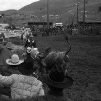 1984 Rodeo Club, Bull Riding 08