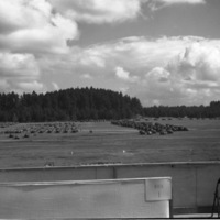 An elevated landscape view of military trucks and soldiers in lines in a wooded clearing. A seating area with a sign labeled "Box 1" and containing a folding chair is in the foreground, facing the soldiers and vehicles.