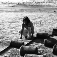 1981 Football Field, New Grass 10