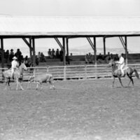 1978 Rodeo, Roping Pairs 07