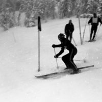 1981 Skiing, Men's Competition 16