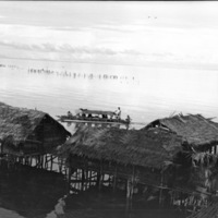 Biak Native Homes 5