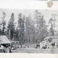 1900+/- Wallowa County, Saw Mill