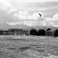 1978 Agriculture, Farm Equipment 08