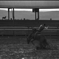 1991 Eastern Rodeo, Bronco Riding 08