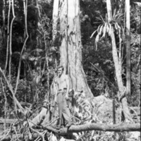 Bob Casey at Base of Tree