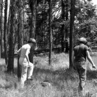 1982 Field Trip, Outdoors 02