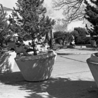 1985 Campus, 8th Street Closure 09