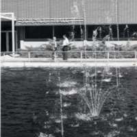1976 Badgley Hall Fountain 1