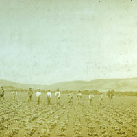 La Grande, Sugar Beet Farm