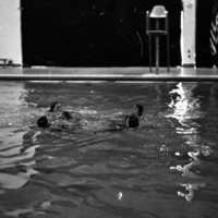 1982 Swimming, Synchronized 07