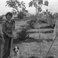 1985 Soroptimist Tree Plantings 05