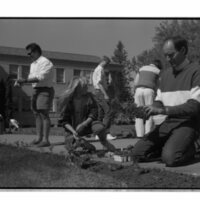 1989 Employees, Planting 04